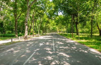 Historische villa te koop 1020 Leopoldstadt, Wenen, Foto 14/18