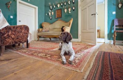 Landhuis te koop 19386 Kreien, Rosenstraße 32, Mecklenburg-Vorpommern, Woonruimte