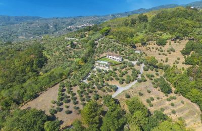 Historisch huis te koop Montecatini Terme, Toscane, Foto 3/20