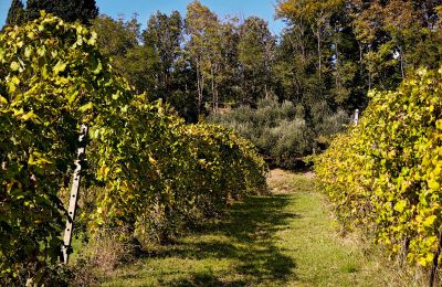 Landelijk huis te koop 40060 Dozza, Ferraruola  1, Emilia-Romagna, Foto 18/26