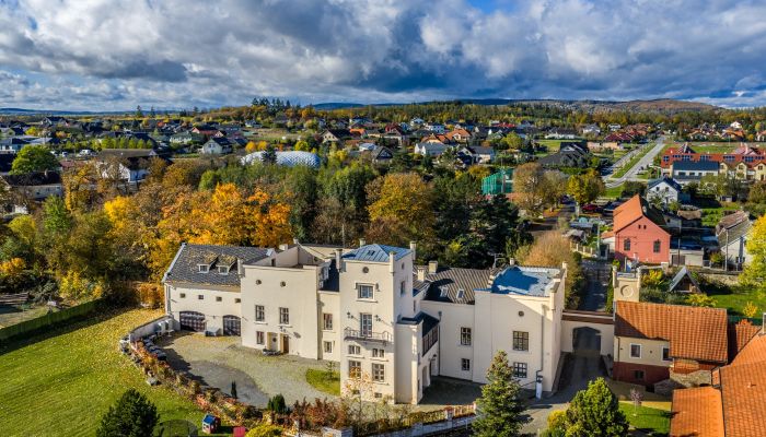 Jachtslot in Trnová, Tsjechische Republiek, met tuin, vijver en wellnessruimtes