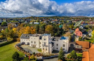 Kasteel Trnová, Centraal-Bohemen
