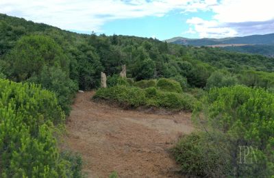 Landelijk pand te koop 06060 Pian di Marte, Umbria, Foto 2/14
