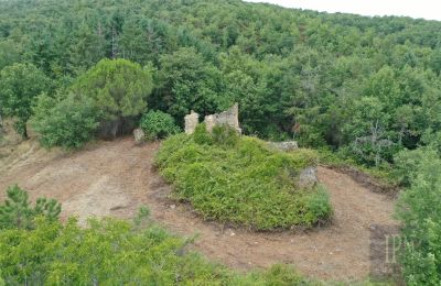 Landelijk pand te koop 06060 Pian di Marte, Umbria, Foto 3/14