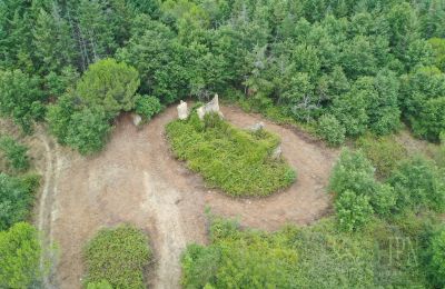 Landelijk pand te koop 06060 Pian di Marte, Umbria, Foto 5/14