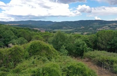 Landelijk pand te koop 06060 Pian di Marte, Umbria, Foto 6/14