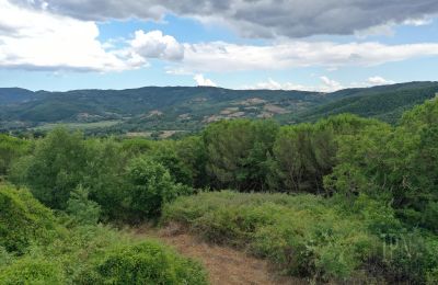 Landelijk pand te koop 06060 Pian di Marte, Umbria, Foto 7/14