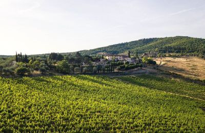 Landhuis te koop Castellina in Chianti, Toscane, Omgeving van het pand