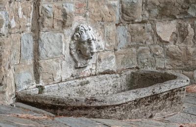 Landhuis te koop Castellina in Chianti, Toscane, Foto 8/29