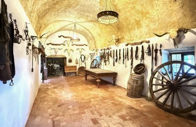 Burcht te koop San Vicente de Alcántara, Extremadura, Foto 18/36