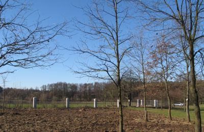 Landhuis te koop Mołomotki-Dwór, Mazovië, ogrodzenie