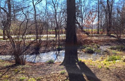 Kasteel te koop Bystrzyca Dolna, Neder-Silezië, Foto 9/9