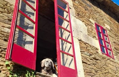 Landhuis te koop Galicië, Foto 10/48