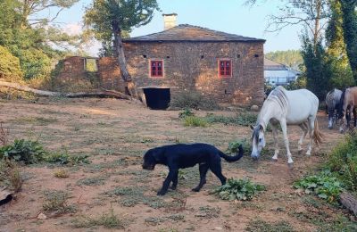 Landhuis te koop Galicië, Foto 12/48