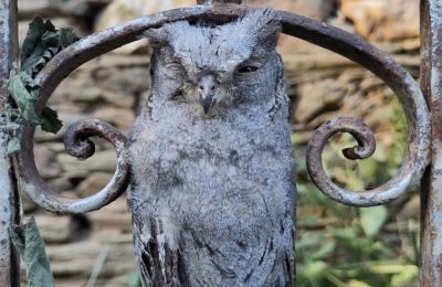 Landhuis te koop Galicië, Foto 30/48