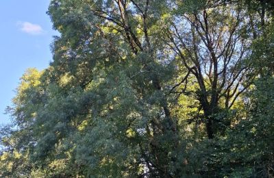 Landhuis te koop Galicië, Foto 32/48