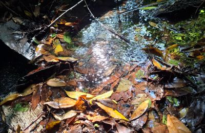 Landhuis te koop Galicië, Foto 33/48