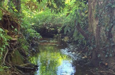 Landhuis te koop Galicië, Foto 35/48