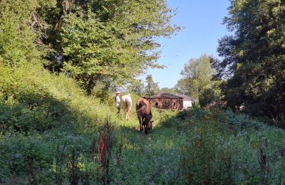 Landhuis te koop Galicië, Foto 42/48