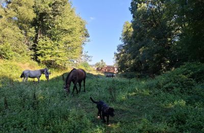 Landhuis te koop Galicië, Foto 43/48