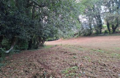 Landhuis te koop Galicië, Foto 44/48