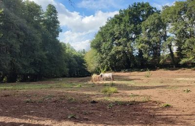 Landhuis te koop Galicië, Foto 46/48