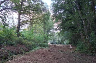 Landhuis te koop Galicië, Foto 47/48