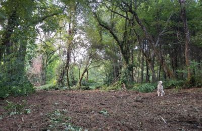 Landhuis te koop Galicië, Foto 48/48