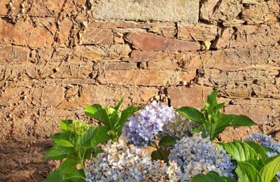 Landhuis te koop Galicië, Foto 8/48