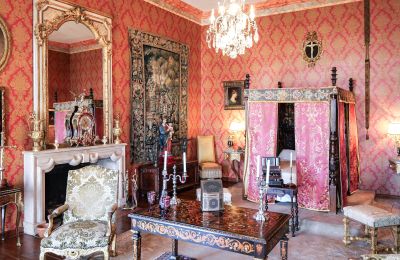 Kasteel te koop Forcalquier, Provence-Alpes-Côte d'Azur, Foto 7/10