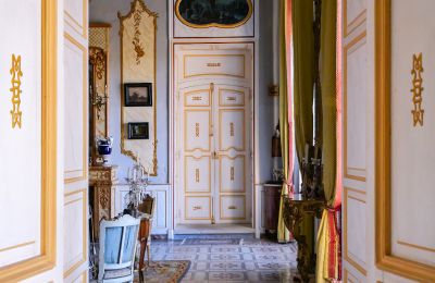 Kasteel te koop Forcalquier, Provence-Alpes-Côte d'Azur, Foto 6/10