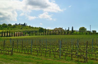 Landelijk pand te koop Sarteano, Toscane, Foto 49/50