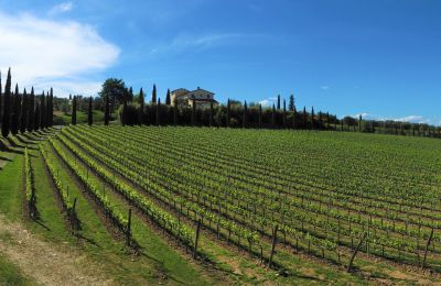 Landelijk pand te koop Sarteano, Toscane, Foto 48/50