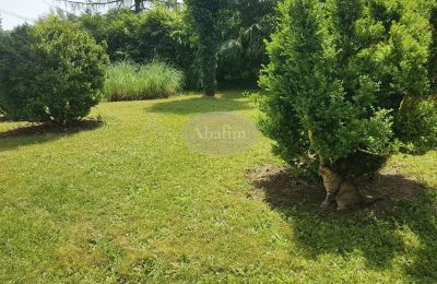 Historische villa te koop Salies-de-Béarn, Nouvelle-Aquitaine, Foto 17/17