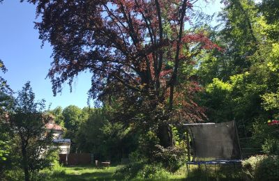 Appartement in een historisch pand te koop Gera, Vollersdorfer Str. 56, Thüringen, Garten mit Buche