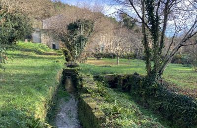 Molen te koop Angoulême, Nouvelle-Aquitaine, Eigendom