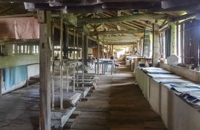 Molen te koop Angoulême, Nouvelle-Aquitaine, Foto 5/17