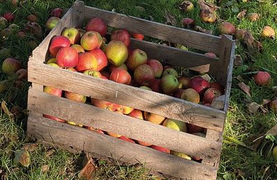 Burcht te koop Mecklenburg-Vorpommern, Foto 78/96