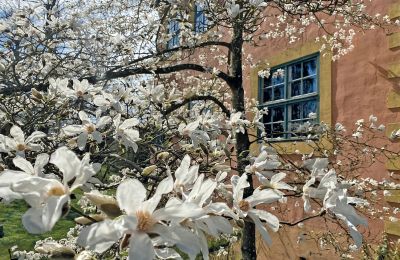 Burcht Mecklenburg-Vorpommern