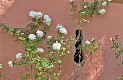 Burcht te koop Mecklenburg-Vorpommern, Foto 45/96