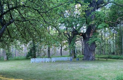 Burcht te koop Mecklenburg-Vorpommern, Foto 68/96