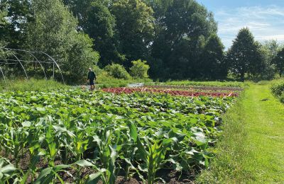 Burcht te koop Mecklenburg-Vorpommern, Foto 62/96
