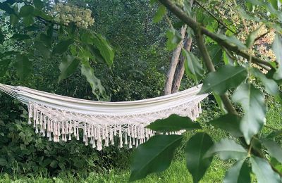 Burcht te koop Mecklenburg-Vorpommern, Foto 70/96