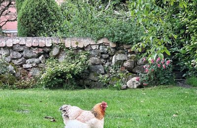 Burcht te koop Mecklenburg-Vorpommern, Foto 75/96