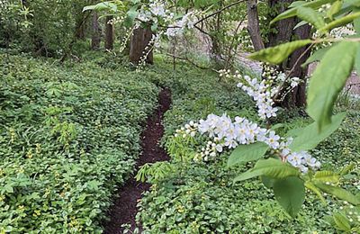 Burcht te koop Mecklenburg-Vorpommern, Foto 58/96