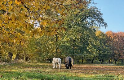Burcht te koop Mecklenburg-Vorpommern, Foto 77/96