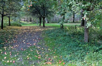 Burcht te koop Mecklenburg-Vorpommern, Foto 69/96