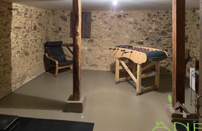 Landelijk pand te koop Mouzon, Nouvelle-Aquitaine, Kelder