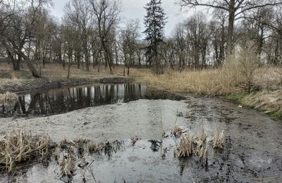 Landhuis te koop Bolkowice, Dwór w Bolkowicach, West-Pommeren, Park