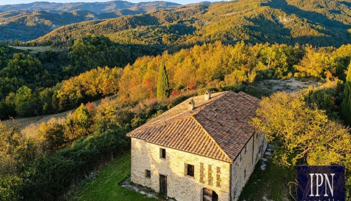  Città di Castello 2